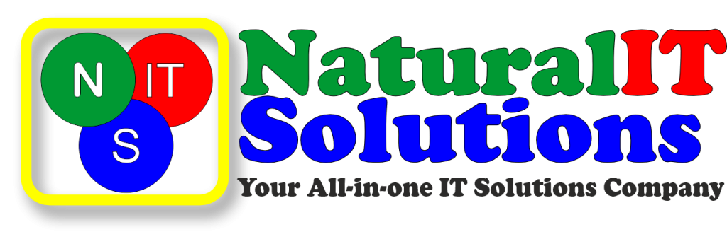 NITS transparent logo